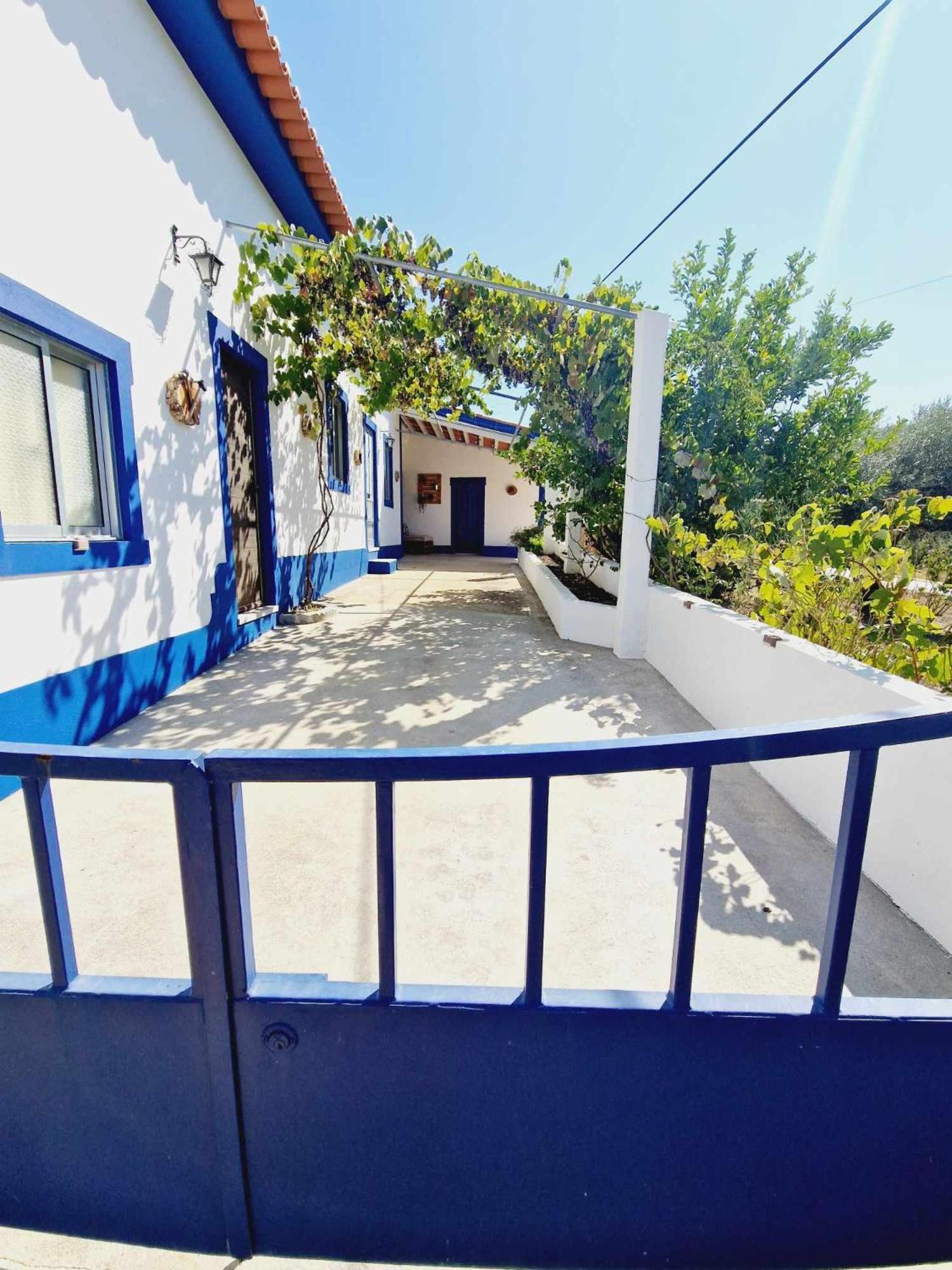 Villa Casa Dos Martelitos à Salgueira  Extérieur photo