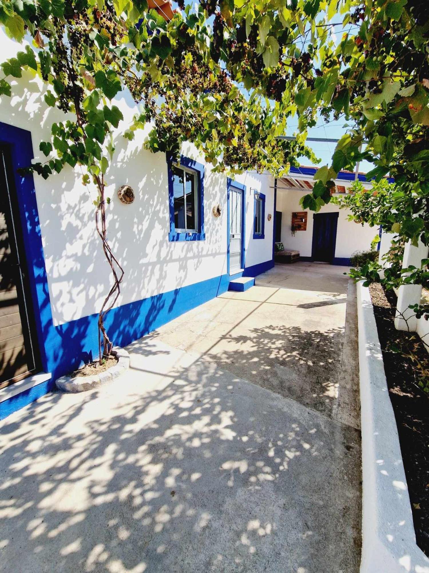 Villa Casa Dos Martelitos à Salgueira  Extérieur photo